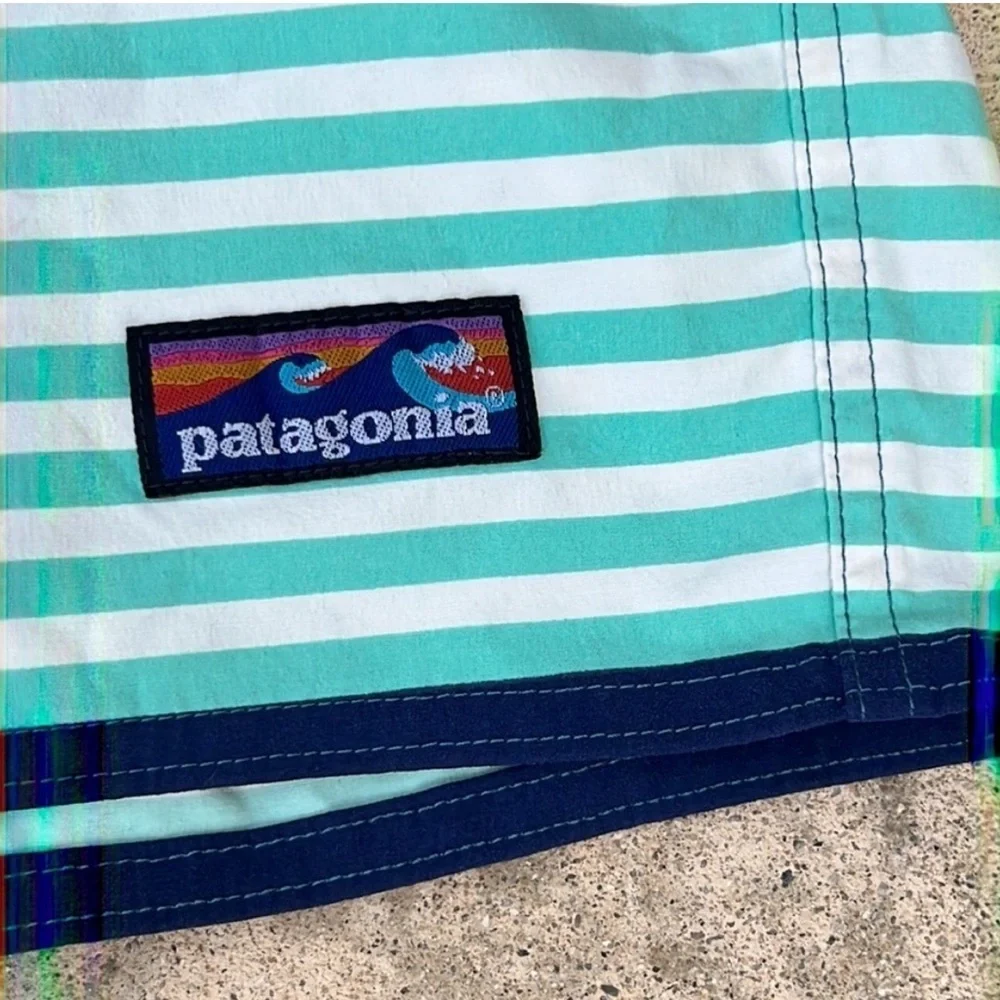 Patagonia Men's Wavefarer Striped Boardshorts Swim Trunks Size 30